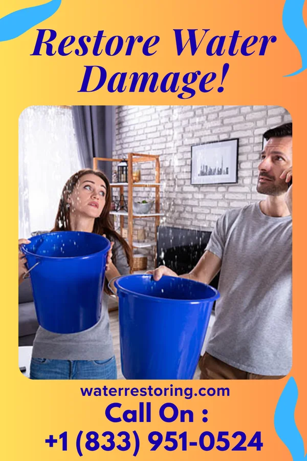 water restoration Expert Water Restoration Specialists Lynxville