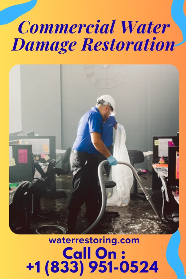 Commercial Water Damage Restoration in Lynxville, WI