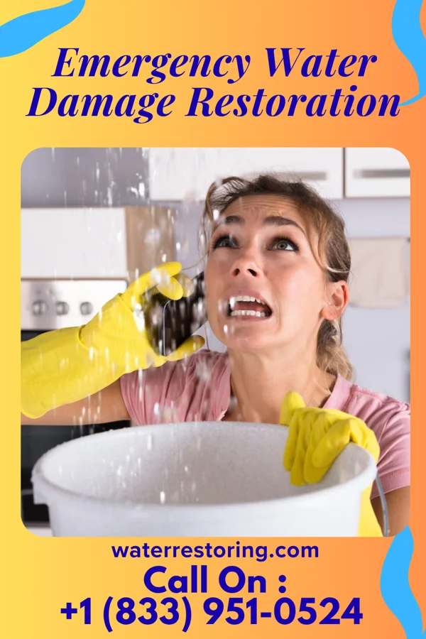 Emergency Water Damage Restoration in Lynxville, WI